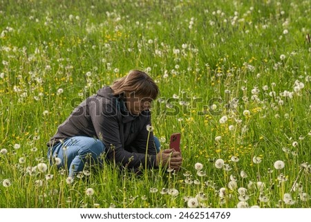 A middle-aged woman enjoys nature. Walk through a field with green grass. She sat down and took pictures of dandelions on her smartphone. Active lifestyle concept in middle age