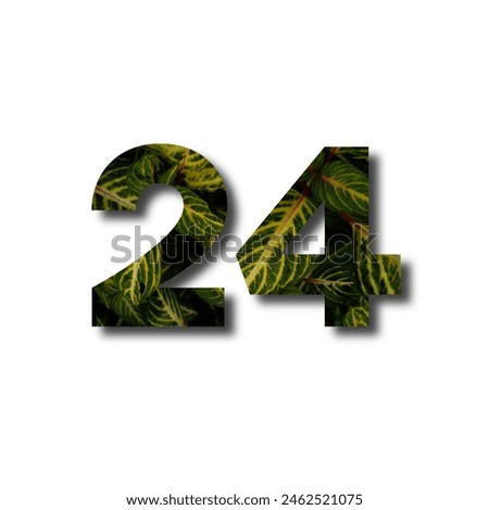 Design number 24 with leaf texture on a white background