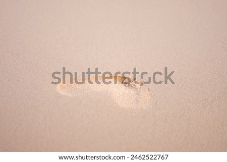 Texture background Footprints of human feet on the sand near the water on the beach