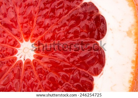 Grapefruit round background -- stock photo.