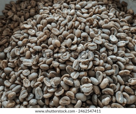 Raw Coffee Green Bean before roasting. in this picture is Arabica coffee green bean before roast process. this picture can use for your background media promotion coffee trade or roastery