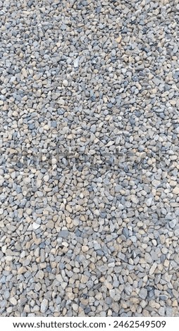 A collection of pebbles in a garden creates a natural and charming aesthetic. These small stones, often varied in size, shape, and color, are typically arranged to form pathways, decorate plant beds.