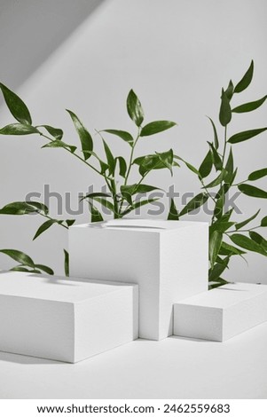 A series of modern, white geometric stands are neatly arranged in a minimalist setting.