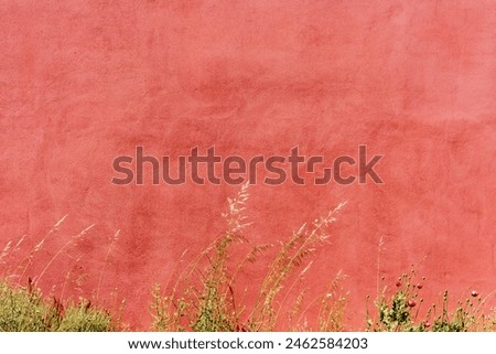 Close-up of textured terracotta wall adorned with wildflowers, including poppies, against a backdrop of lush vegetation