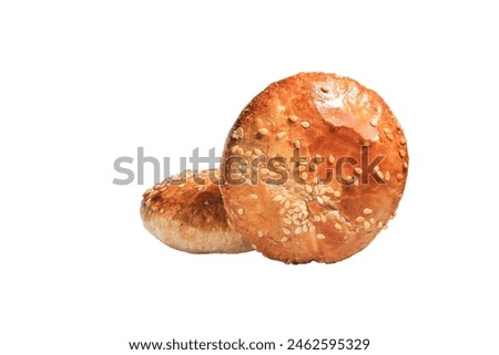 Two sesame buscuit side view isolated on white background. Best food commercial stock photo.