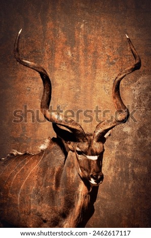African Kudu vintage art print, antique wild antelope portrait for home decoration, animal old picture, magnificent kudu with spiral horn