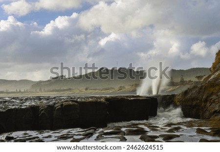 Blasts of water coming from the blowhole at Muriwai Beach. Auckland. Royalty-Free Stock Photo #2462624515