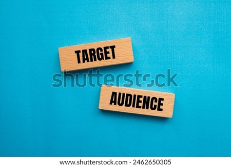 Target audience words written on wooden blocks with blue background. Conceptual target audience symbol. Copy space.