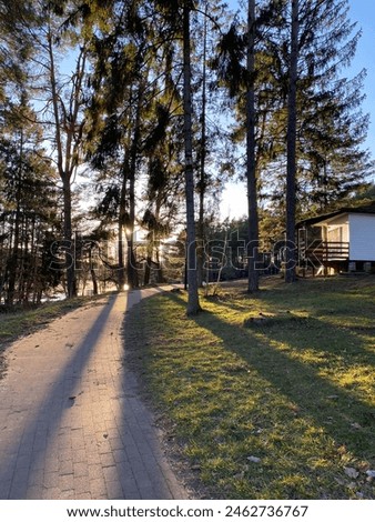 Scenic pathway through a wooded park at sunset with tall trees and a wooden cabin. Warm sunlight casting long shadows on the path. Royalty-Free Stock Photo #2462736767