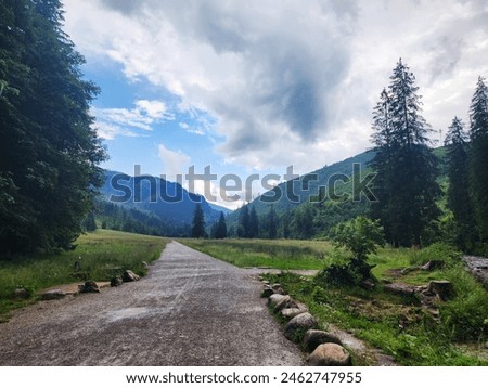 Beautiful floral and mountain view in Polish mountains during summer. Cloudy and sunny day in nature. Perfect walpaper image for your home