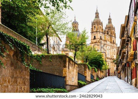 View of the Clerecia towers from Palominos Street in Salamanca