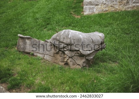big stone rock in the grass