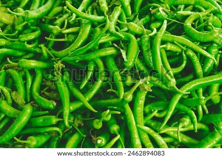 Green chilies are vibrant, mildly spicy peppers used in various cuisines for their fresh, tangy flavor and subtle heat. They are rich in vitamins and add a distinct kick to dishes. Royalty-Free Stock Photo #2462894083