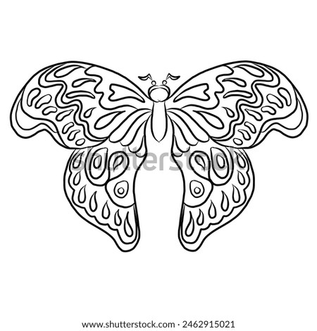 Colorful Butterfly art print poster,Butterfly wall decor.Set of realistic vector butterfly.Collection of vintage elegant illustrations of butterfly.Clip art.Design element for your project.line art