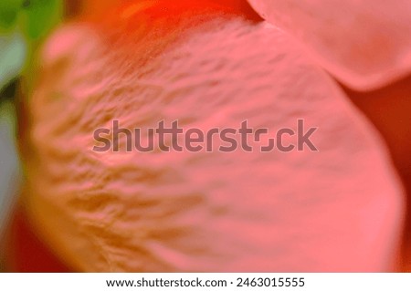 rose - like painted picture- art  Royalty-Free Stock Photo #2463015555