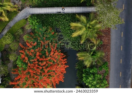 Woman photographer travel alone at Ben Tre, Mekong Delta, Viet Nam, aerial view with blooming phoenix flower, water hyacinth and coconut tree in green make beautiful countryside landcape