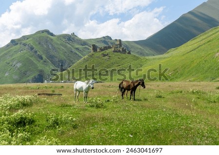 Zakagori fortress on top of a hill. Two horses on a green meadow. Landscape of mountains
