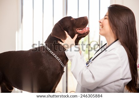 Profile view of a pretty veterinarian petting a brown labrador and smiling