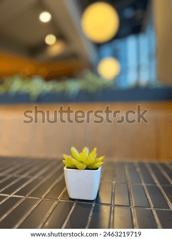 plant decorations on restaurant tables with hanging lamps in the background