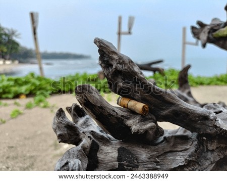 Close-up of a weathered driftwood with a cigar butt, set against a blurry tropical beach background. Ideal for environmental awareness, coastal, and travel themes.