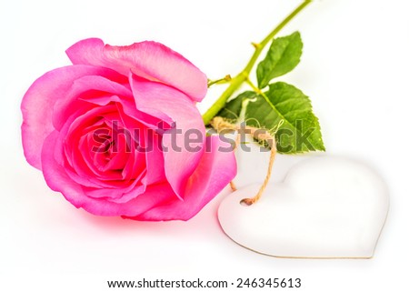 Pink rose and empty tag for your text.
