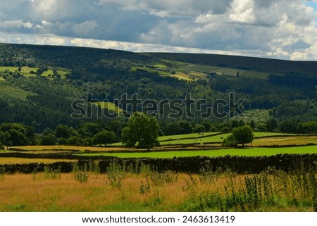 Picture of a countryside scene with trees, fields and dry stone walls