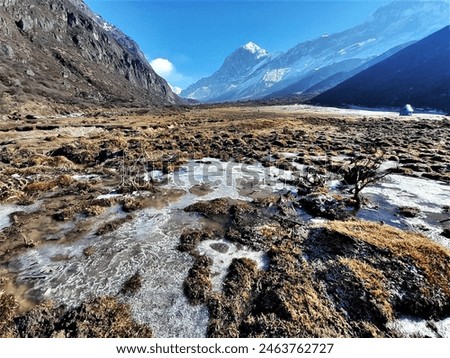 Trekking at Kangchenjunga NP, Pandim in Goecha La Trek, Snow capped Mountain , Goechala Trek in Sikkim, India