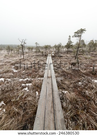 wooden boardwalk in frosty winter bog landscape with frozen nature