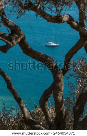 Sailboats at anchor in Corsica. Sailboats floating on the calm blue sea. Coastal summer landscape of Corsica