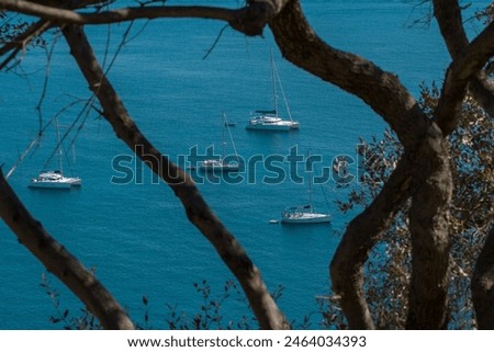 Sailboats at anchor in Corsica. Sailboats floating on the calm blue sea.  Coastal summer landscape