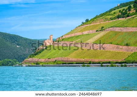 Ruins of Ehrenfels Castle and vineyards on Rhine river near Ruedesheim and Bingen am Rhein, Germany. Rhine valley is popular tourist destination for river cruise and short vacation Royalty-Free Stock Photo #2464048697