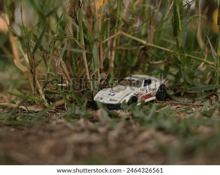 toy car on the grass
