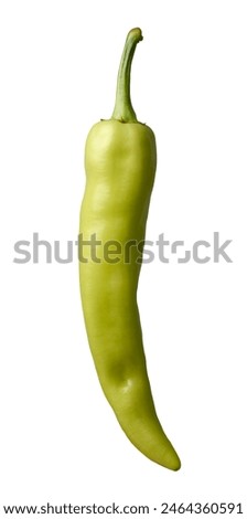 banana pepper isolated white background, long curved shape with mild heat and tangy sweet flavor popular chili pepper close-up Royalty-Free Stock Photo #2464360591