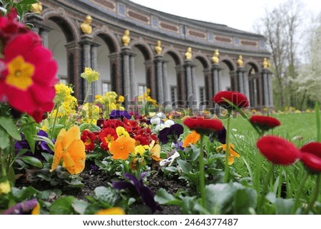 Blooming Flowers in Spring with a old Castle and golden Statues in the Background