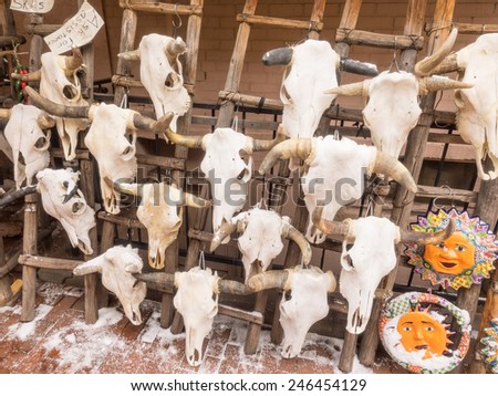 Real cow skulls with horns on rack for sale