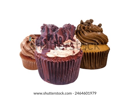 moist cake topped with creamy frosting, a bite-sized pleasure sure to satisfy your sweet cravings. Royalty-Free Stock Photo #2464601979