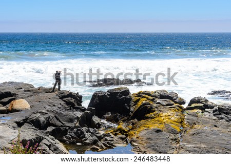 Nature of the Chilean coast of the Pacific Ocean