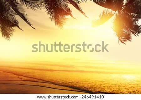 Sunset at a tropical beach in the Caribbean 