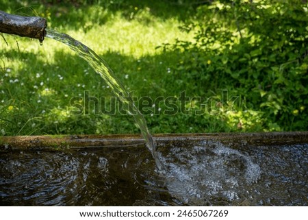 fountain, water flowing from a fountain in a forest