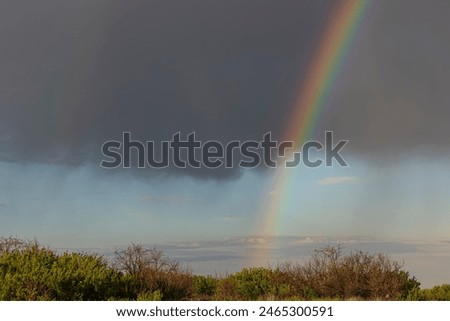 rainbow in the Kazakh steppe after the rain.