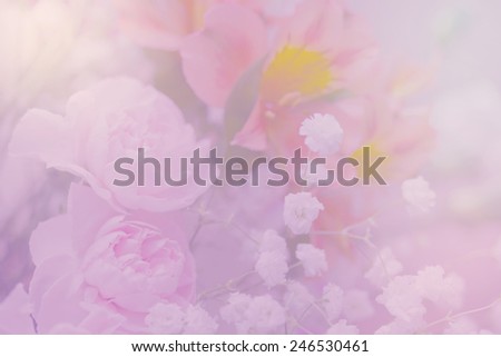 flowers on soft vivid color