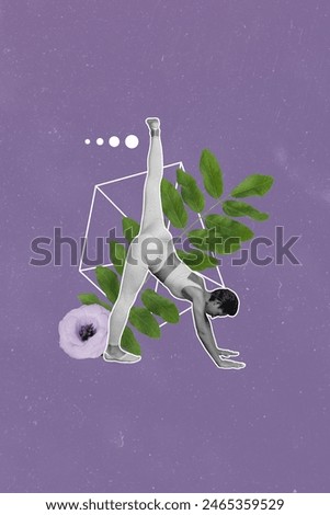 Composite trend artwork photo collage of purple color backdrop line plant green leaves spring season young woman stretching keep balance