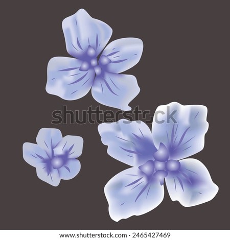 Hydrangea Flower Vector Decorative  Illustration