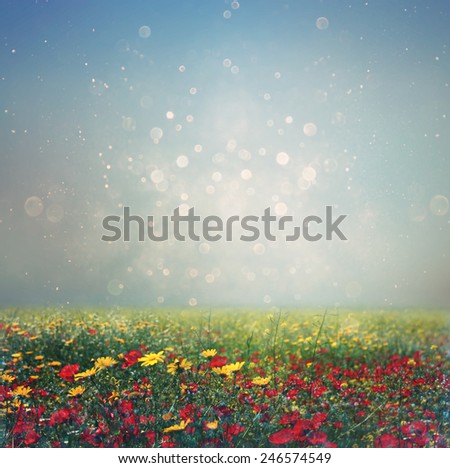 abstract photo of wild flower field and bright bokeh lights. 