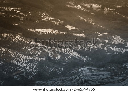 Yuanyang rice terrace from Bada scenic area in Yunnan province, China. Close up, sunset picture with copy space for text