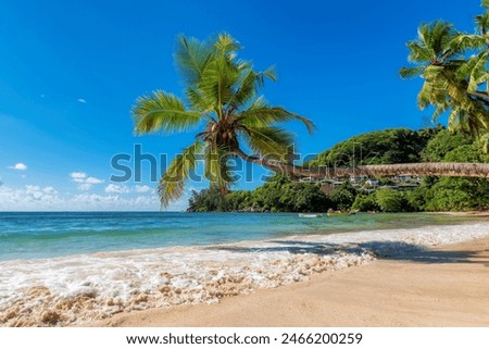 Paradise Sunny beach with coconut palms and turquoise sea in tropical Seychelles island. Summer vacation and tropical beach background concept. 
