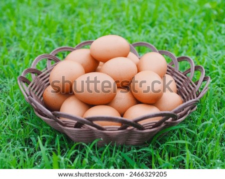 Several chicken eggs in a basket on the green field and dew on the grass It is a very beautiful picture of nature.