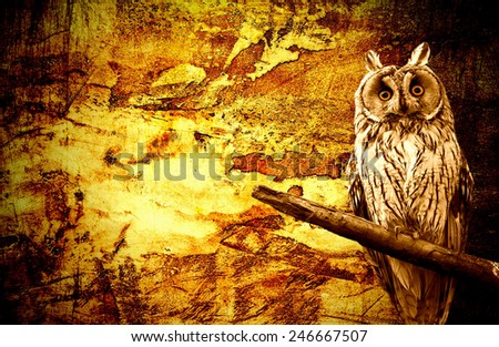 owl abstract halloween grunge background