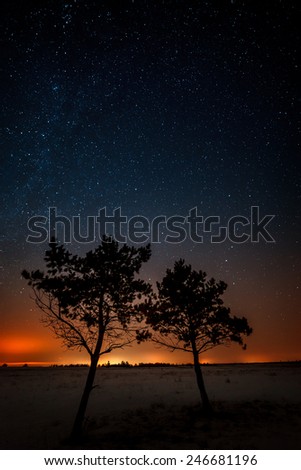 Two trees are growing together on the background of the starry sky and the Milky Way.