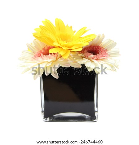 Beautiful Flower pot isolated on white
